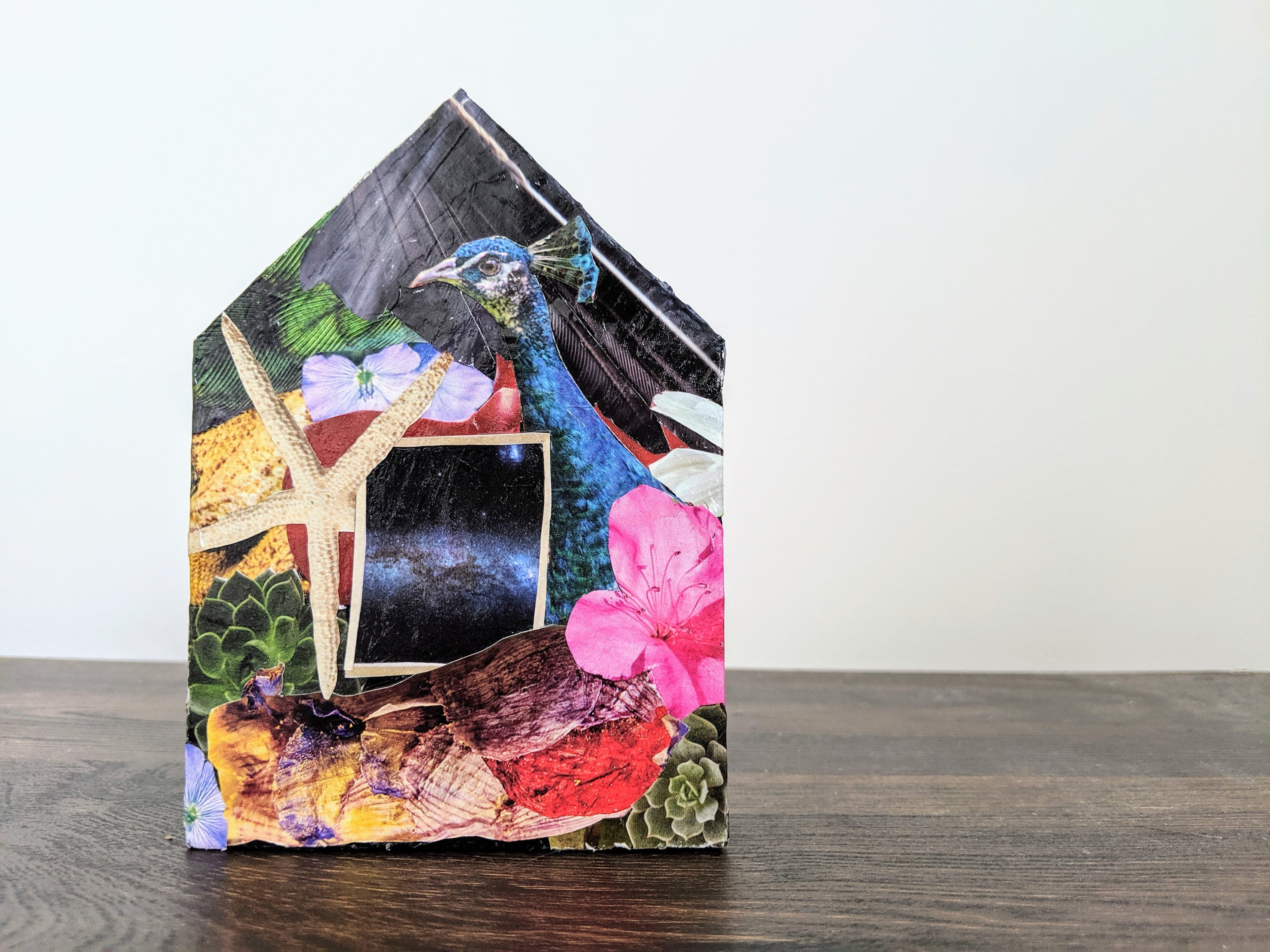 Tiny Houses: For Now
