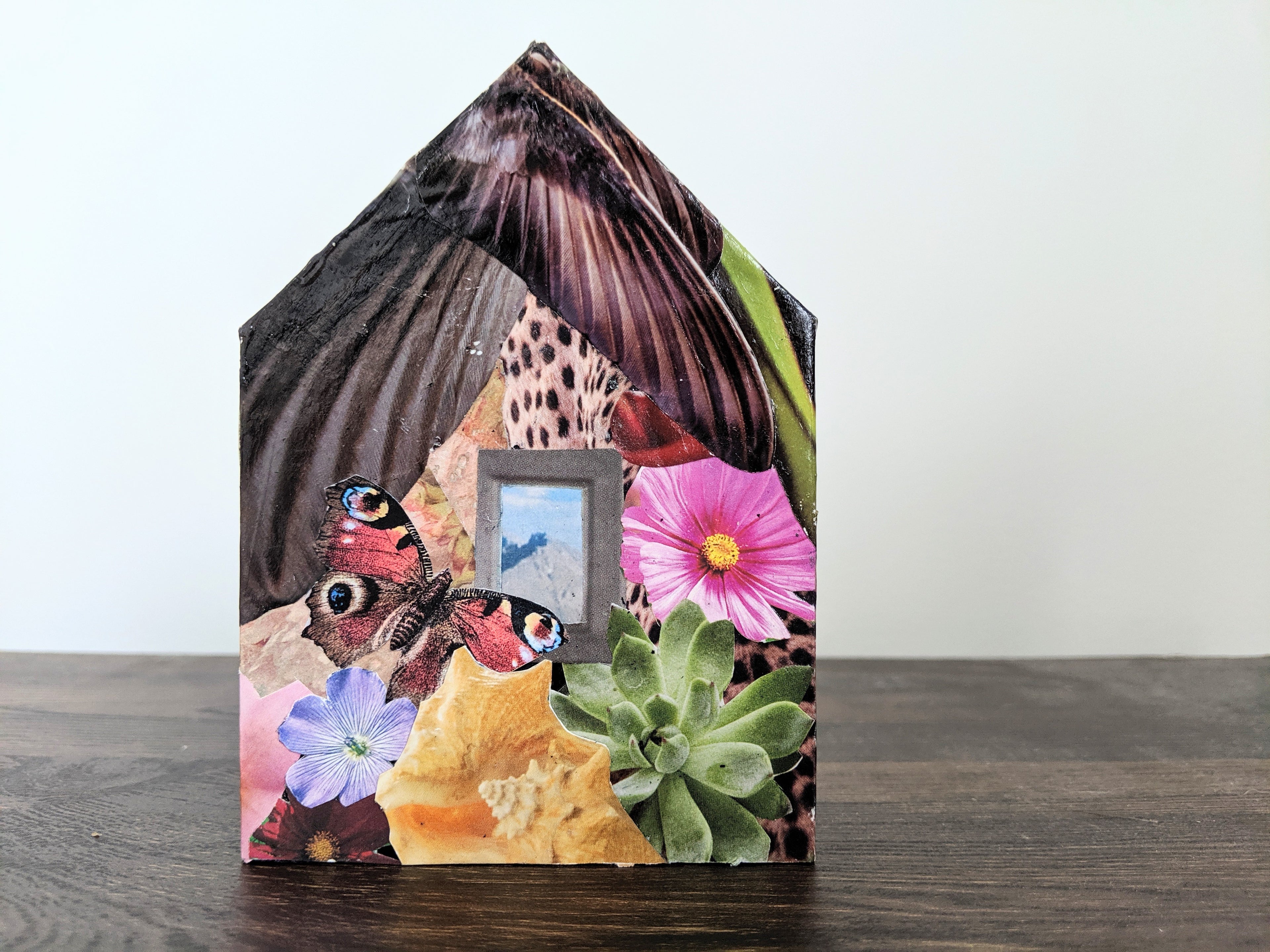 Tiny Houses: To the Mountains