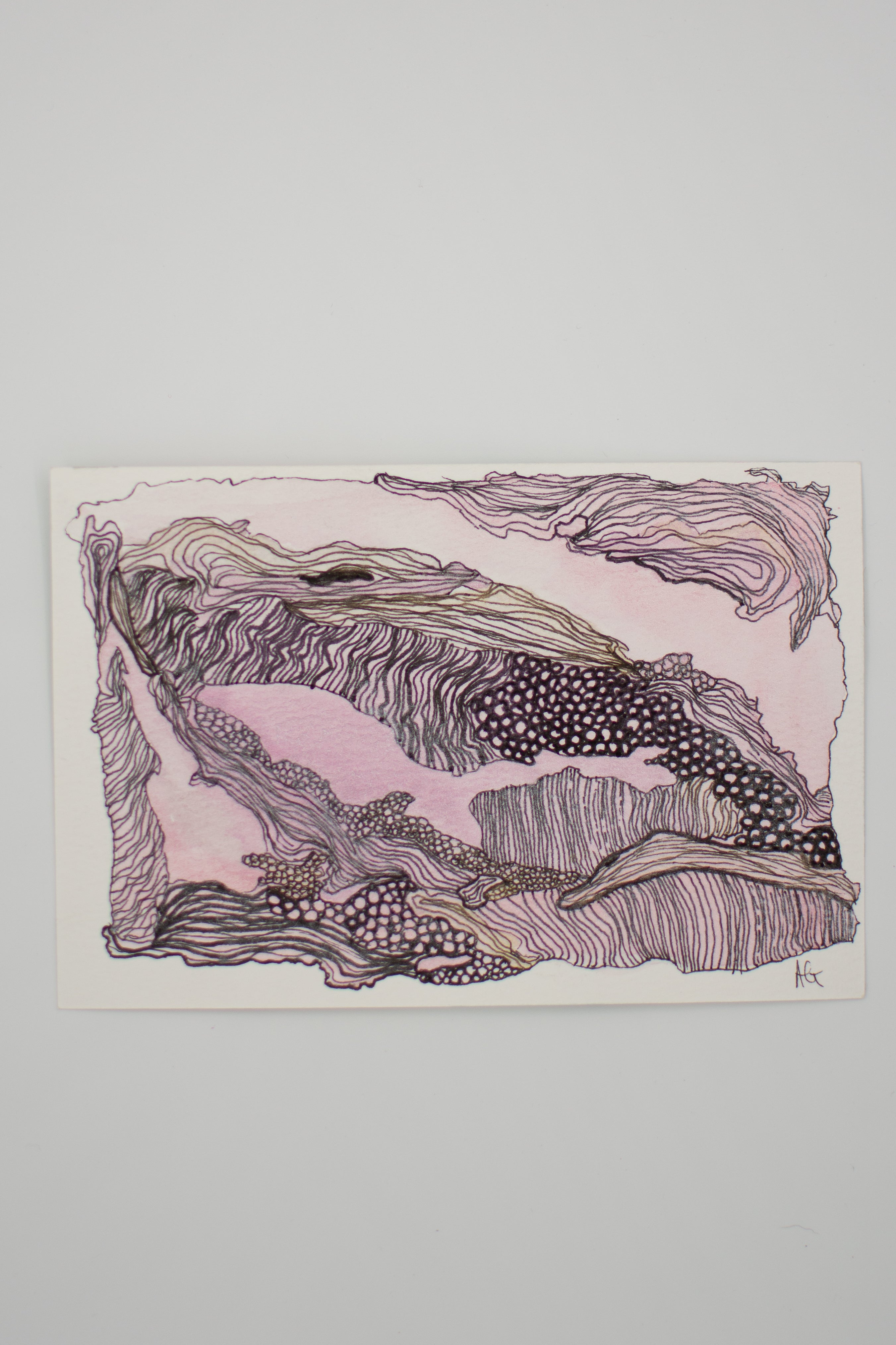 Ocean Wash & Lines: Whale/Shark Wonder | Original Watercolour & Ink Painting