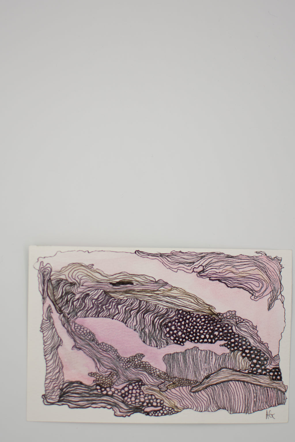 Ocean Wash & Lines: Whale/Shark Wonder | Original Watercolour & Ink Painting