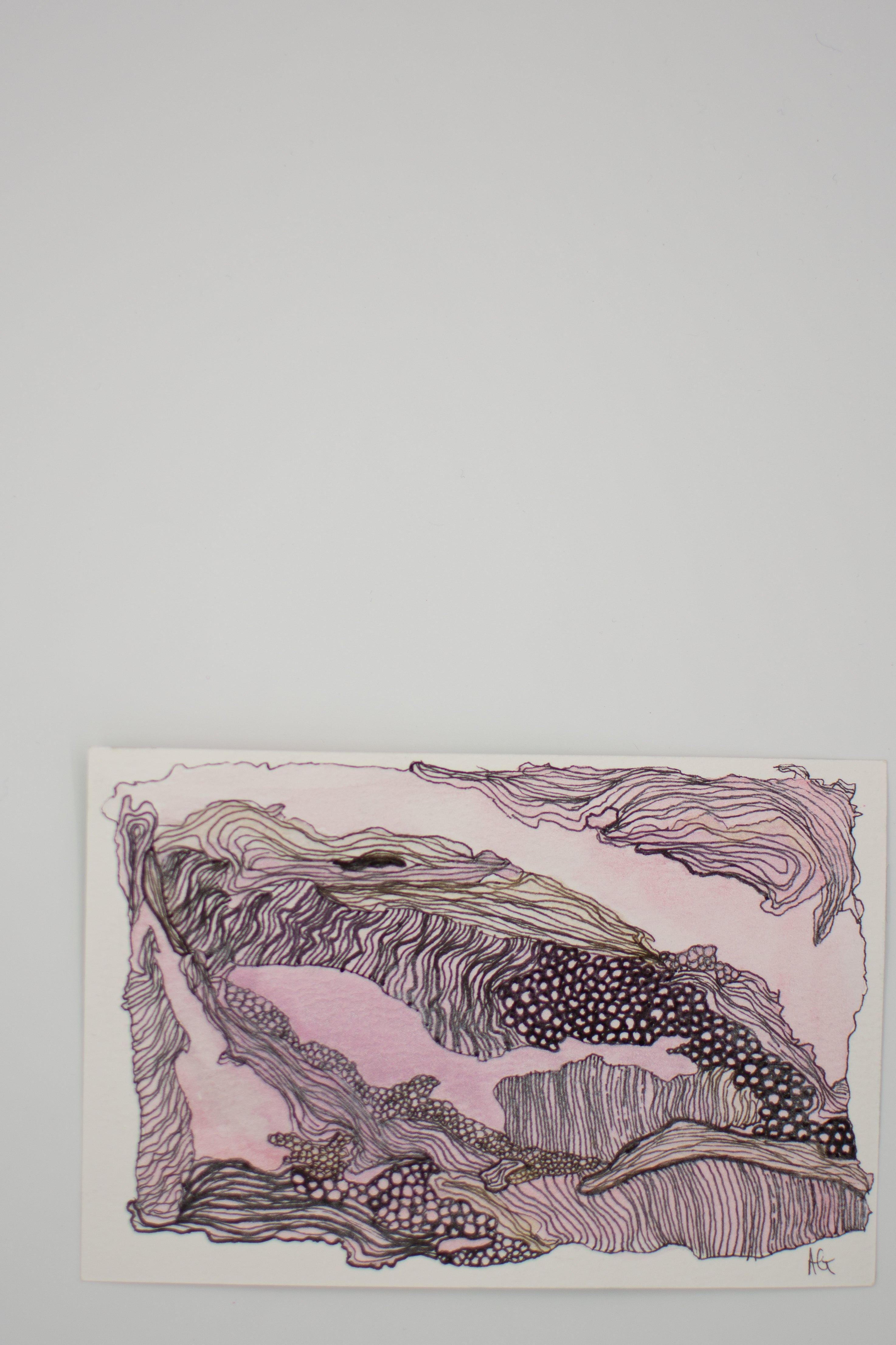 Ocean Wash & Lines: Whale/Shark Wonder | Original Watercolour & Ink Painting