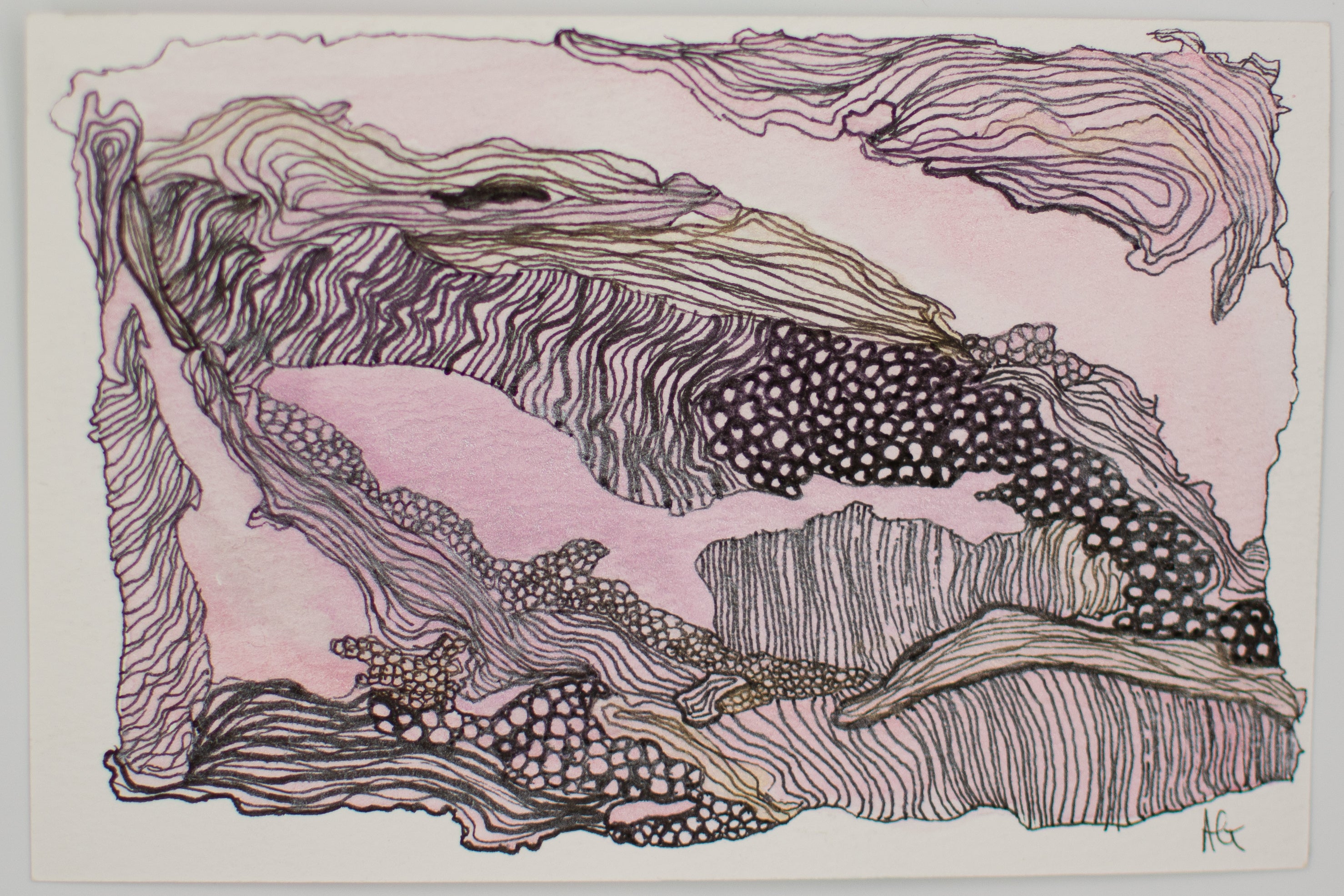 Ocean Wash & Lines: Whale/Shark Wonder | Original Watercolour & Ink Painting